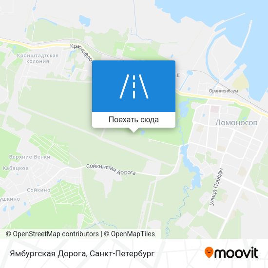 Карта Ямбургская Дорога