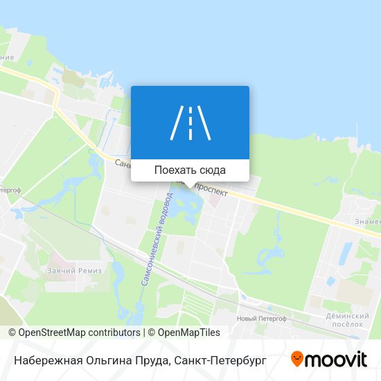 Карта Набережная Ольгина Пруда