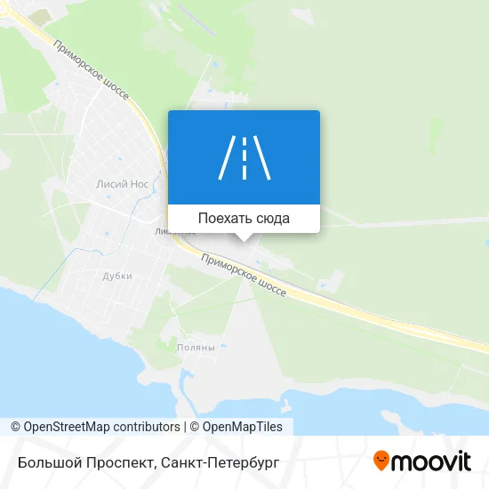 Карта Большой Проспект