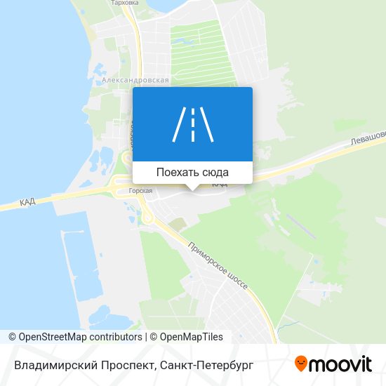 Карта Владимирский Проспект