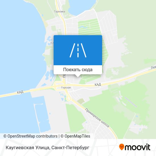 Карта Каугиевская Улица