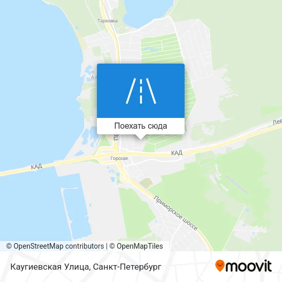 Карта Каугиевская Улица