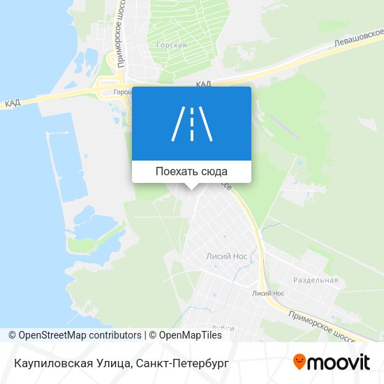 Карта Каупиловская Улица