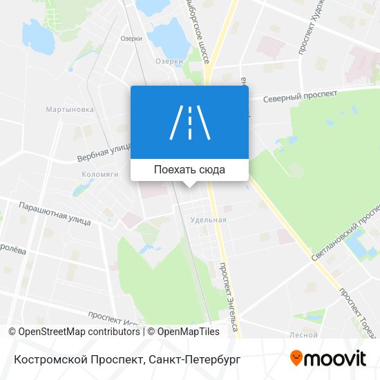 Карта Костромской Проспект