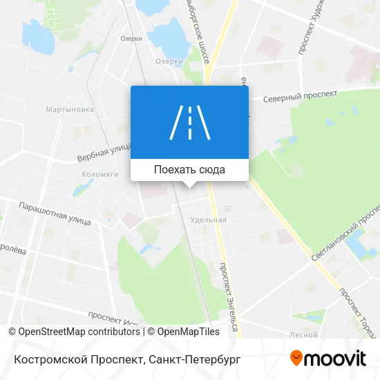 Карта Костромской Проспект