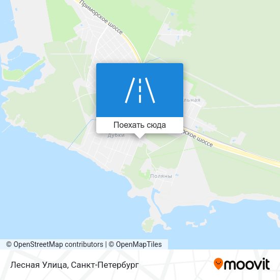 Карта Лесная Улица