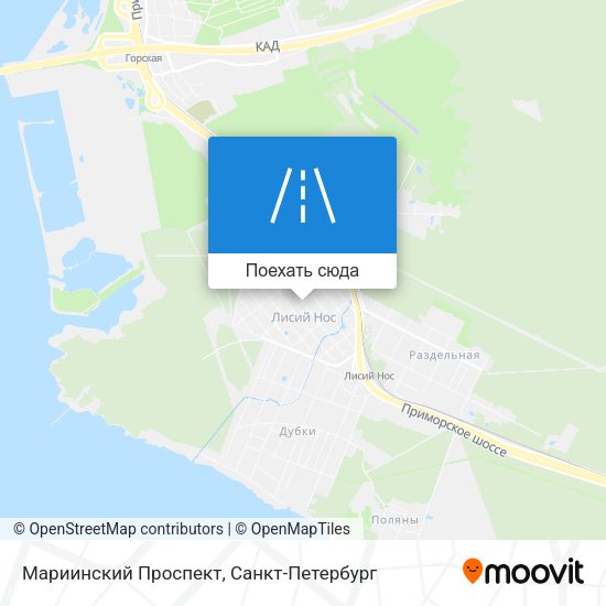 Карта Мариинский Проспект