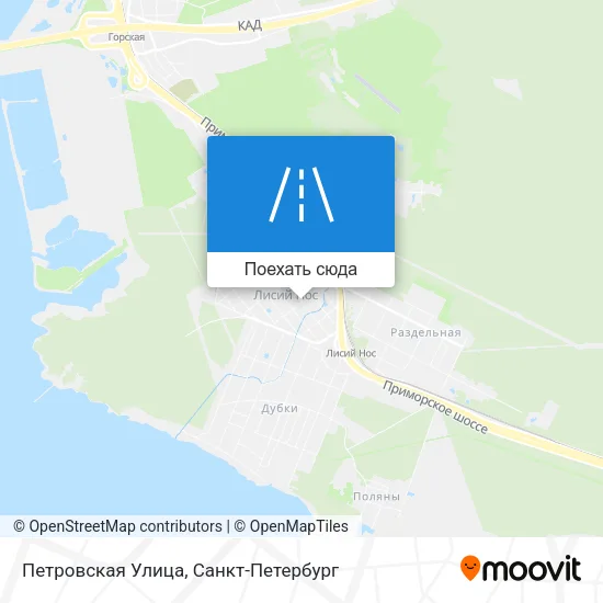 Карта Петровская Улица