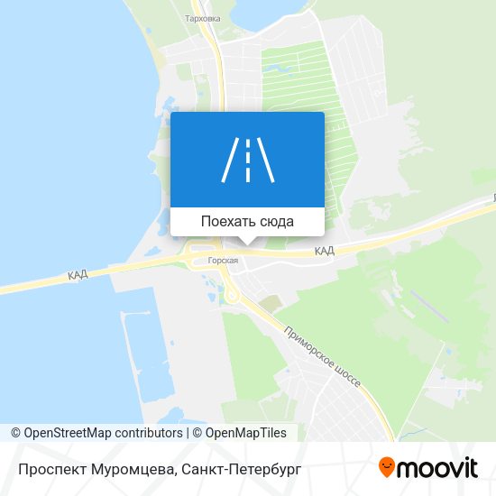 Карта Проспект Муромцева