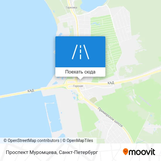 Карта Проспект Муромцева