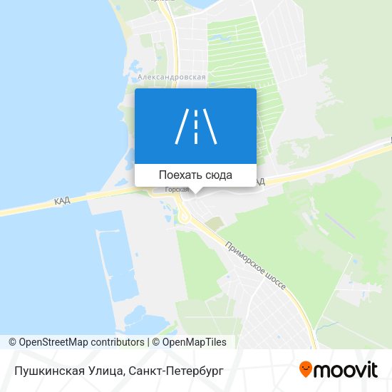 Карта Пушкинская Улица