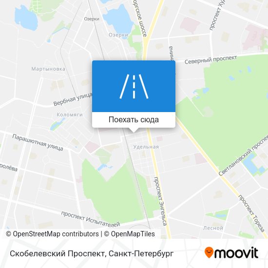 Карта Скобелевский Проспект