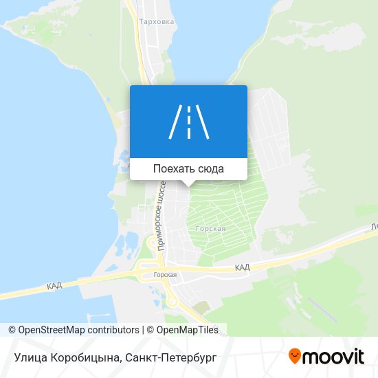 Карта Улица Коробицына