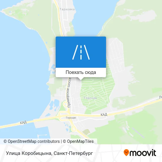 Карта Улица Коробицына