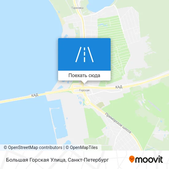 Карта Большая Горская Улица