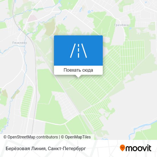 Карта Берёзовая Линия