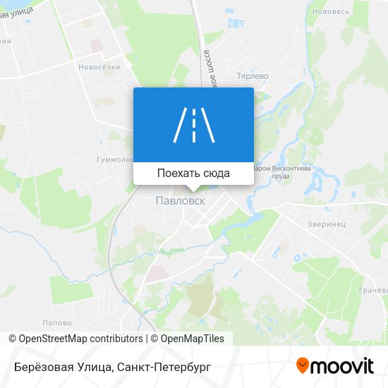 Карта Берёзовая Улица
