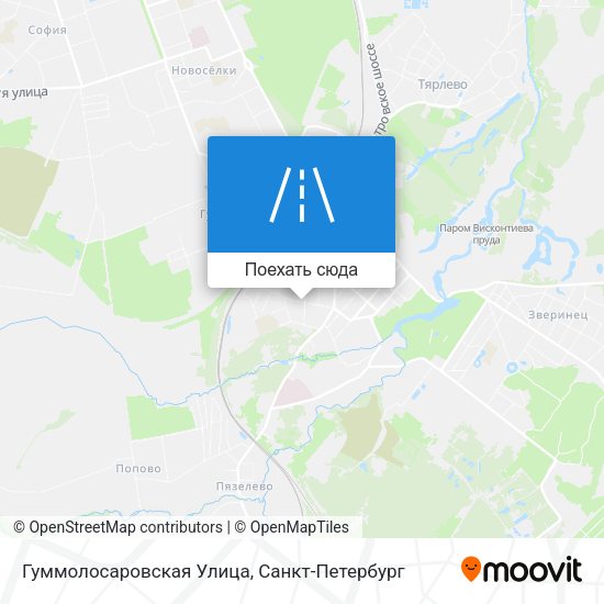 Карта Гуммолосаровская Улица