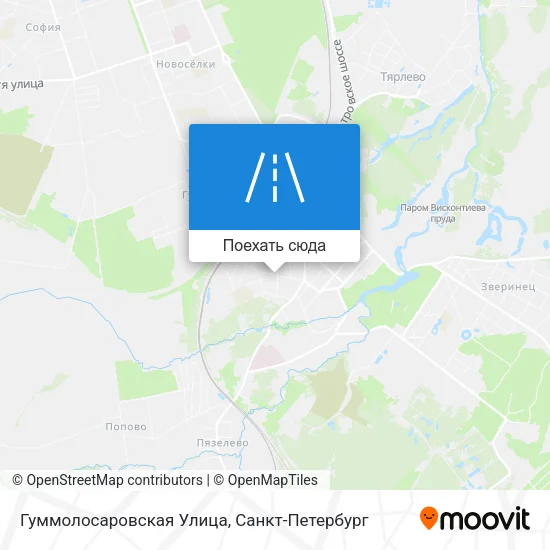 Карта Гуммолосаровская Улица
