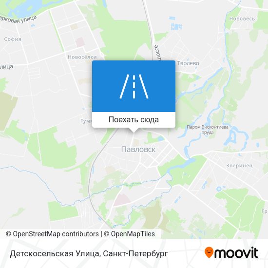 Карта Детскосельская Улица