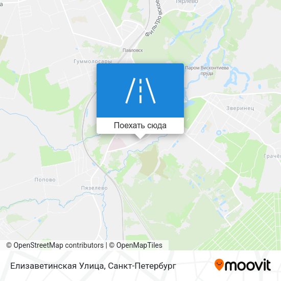 Карта Елизаветинская Улица