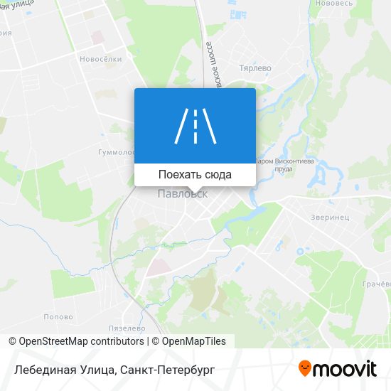 Карта Лебединая Улица
