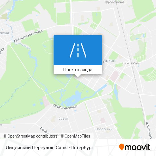 Карта Лицейский Переулок