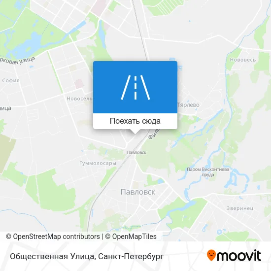 Карта Общественная Улица
