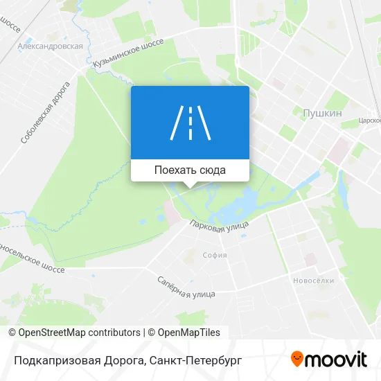 Карта Подкапризовая Дорога