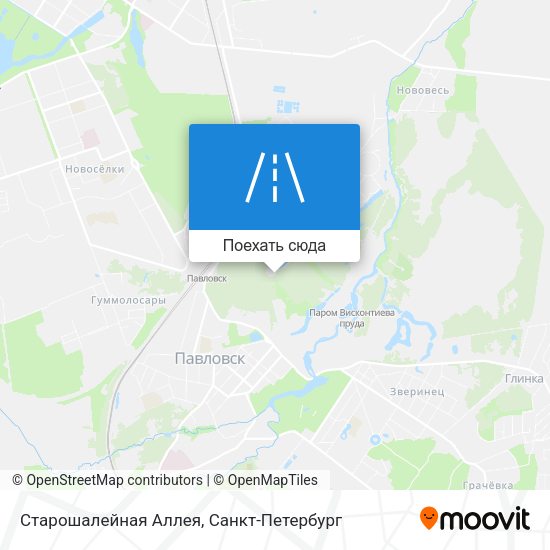 Карта Старошалейная Аллея