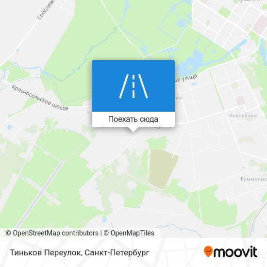 Карта Тиньков Переулок