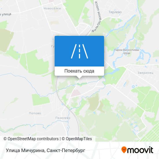 Карта Улица Мичурина