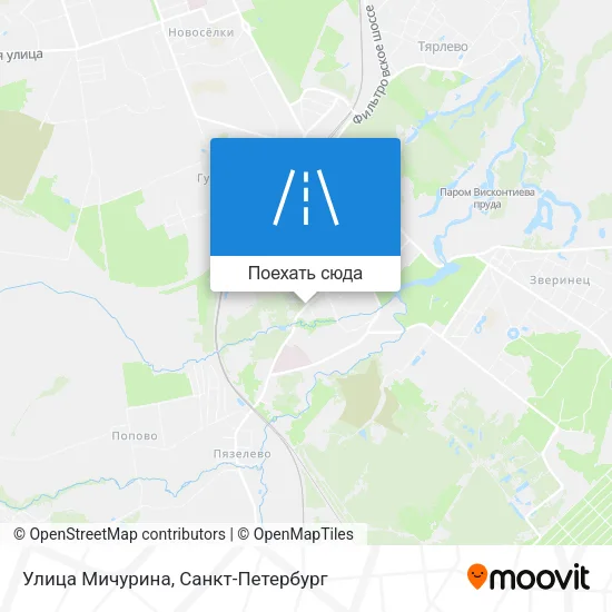 Карта Улица Мичурина