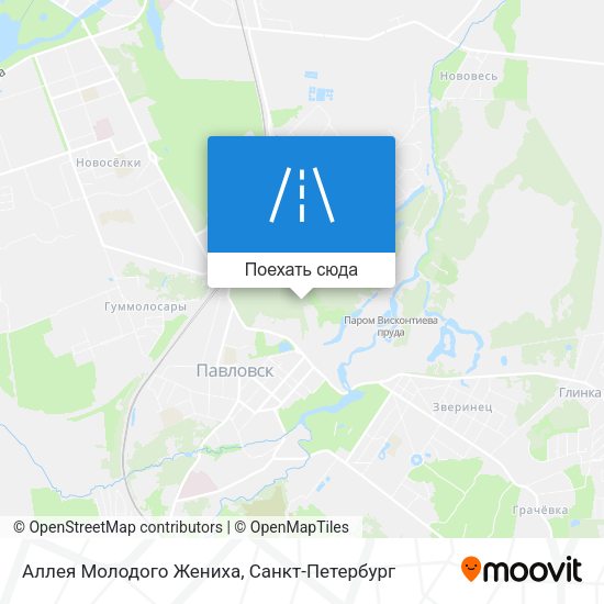 Карта Аллея Молодого Жениха