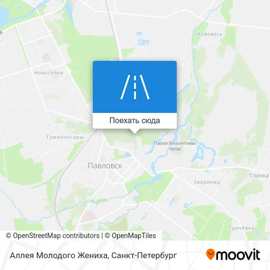 Карта Аллея Молодого Жениха