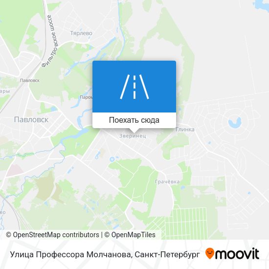 Карта Улица Профессора Молчанова