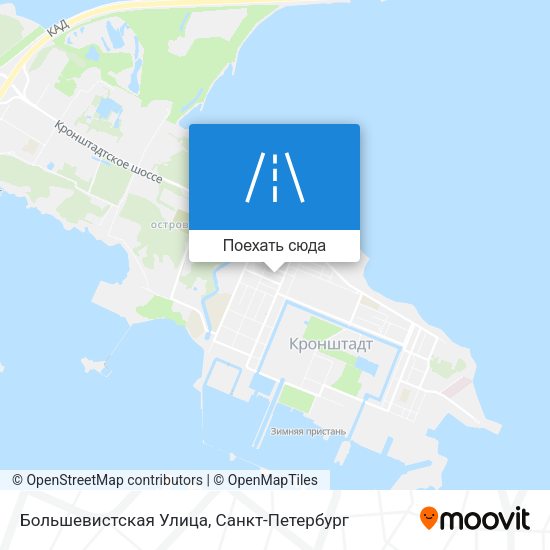 Карта Большевистская Улица