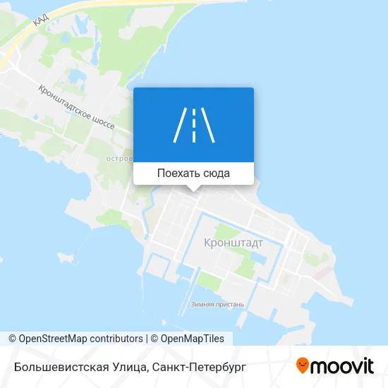 Карта Большевистская Улица