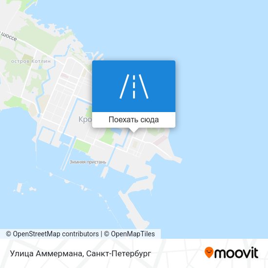 Карта Улица Аммермана