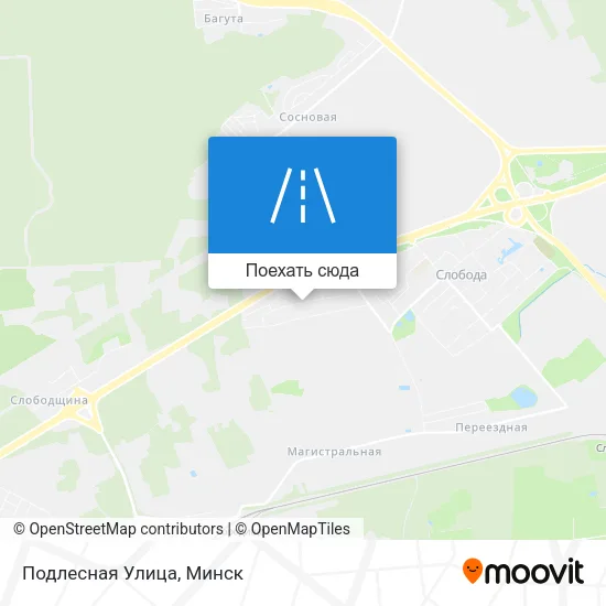 Карта Подлесная Улица