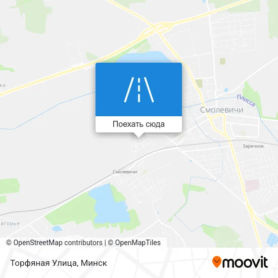 Карта Торфяная Улица