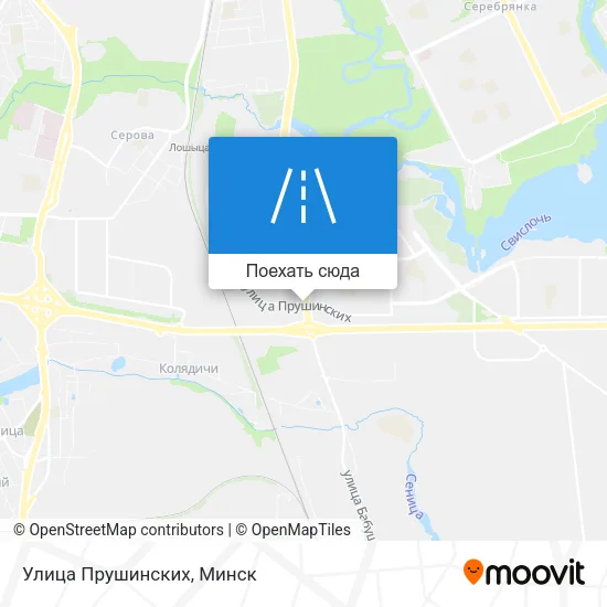 Карта Улица Прушинских