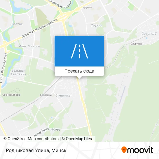 Карта Родниковая Улица