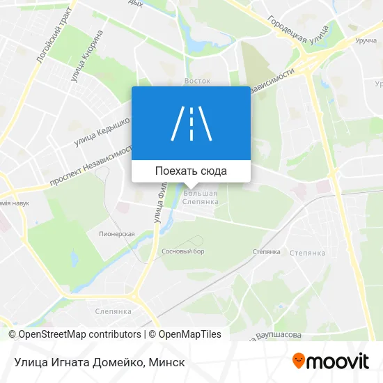 Карта Улица Игната Домейко