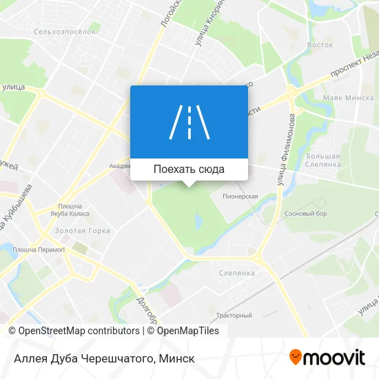 Карта Аллея Дуба Черешчатого