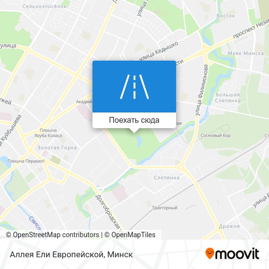 Карта Аллея Ели Европейской