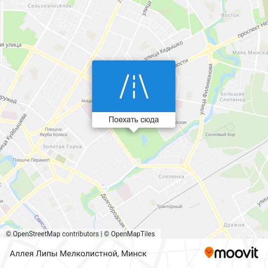 Карта Аллея Липы Мелколистной