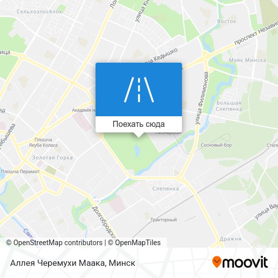 Карта Аллея Черемухи Маака
