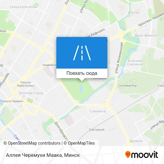 Карта Аллея Черемухи Маака