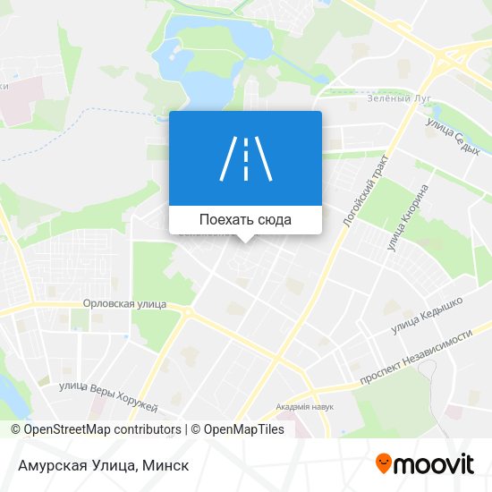 Карта Амурская Улица